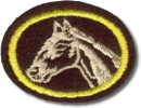 Criação de Cavalos