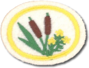 Plantas Silvestres Comestíveis