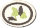 Arbustos