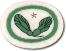 Sementes Avançada