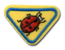 Joaninhas