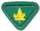 Árvores
