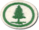 Árvores