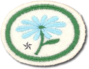 Flores Avançada
