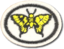 Mariposas e Borboletas