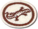 Répteis