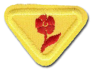Flores