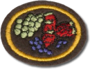 Cultivo de Pequenos Frutos