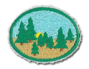 Taiga