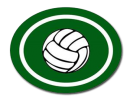 Voleibol