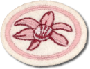 Orquídeas