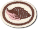 Conchas