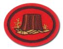 Silvicultura