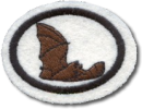 Morcegos