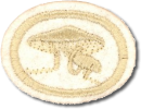Cogumelos