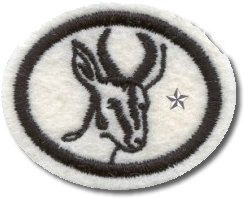 ANTILOPES AVANCADO