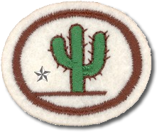 CACTOS AVANCADO