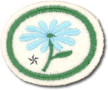 FLORES AVANCADO