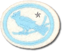 PASSAROS AVANCADO